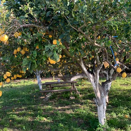 La Caccetta דירה