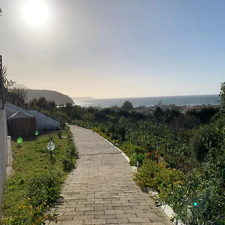 La Caccetta Procida