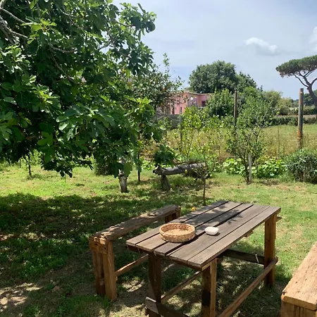 La Caccetta Appartement Procida