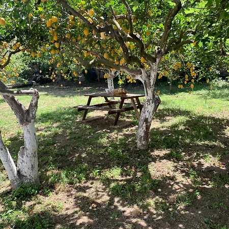 La Caccetta Appartement *