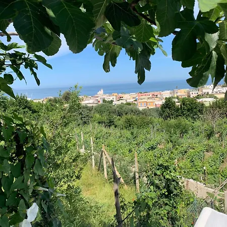 La Caccetta