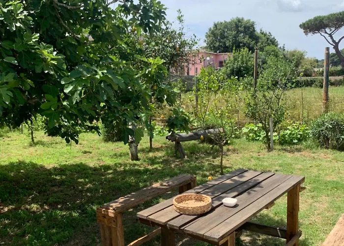 La Caccetta Apartamento Procida