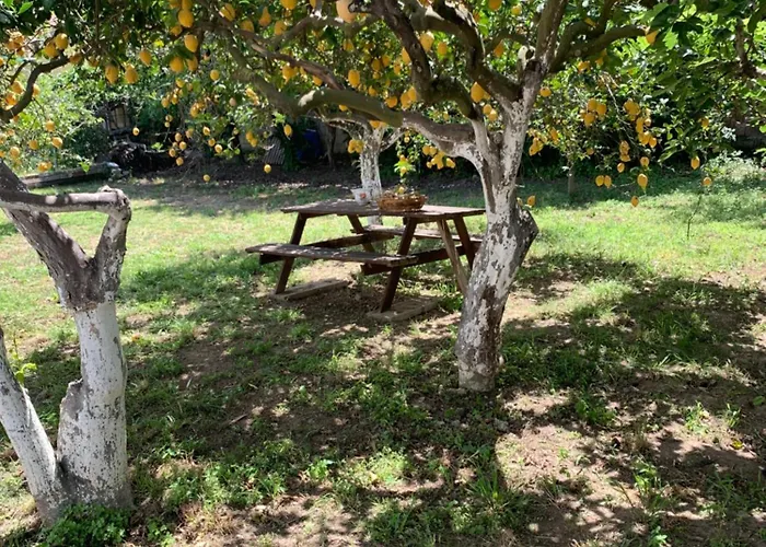 La Caccetta Apartamento *