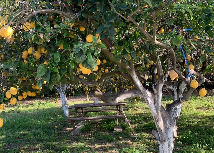 La Caccetta Apartamento